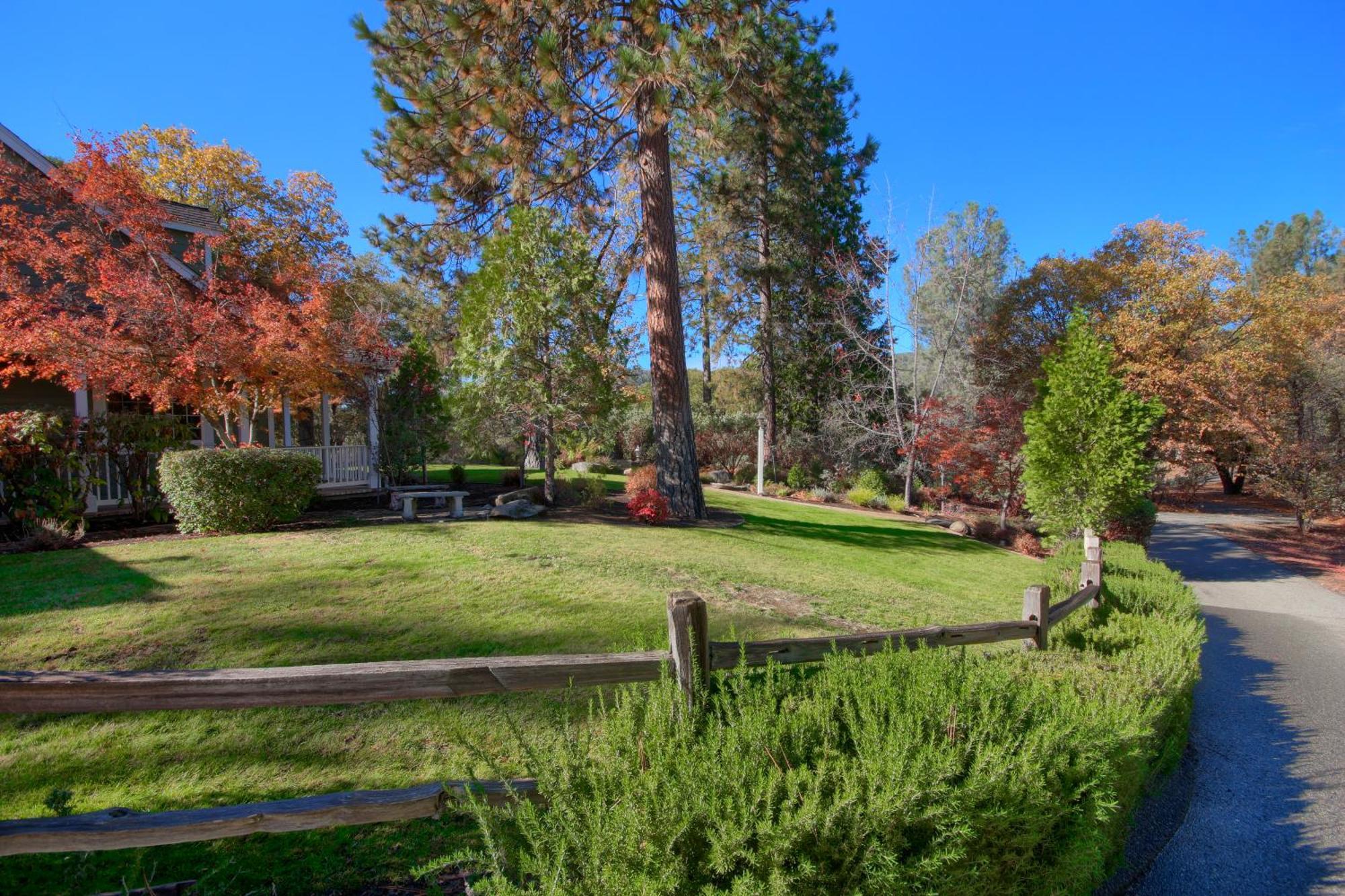 Emerald Escape 50 Acres W/Hot Tub, Game Room Oakhurst Exterior photo